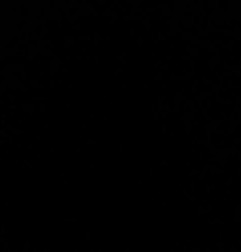 Porte avant droit CITROEN C3 1 Photo n°5