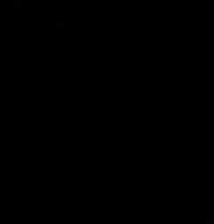 Porte avant droit CITROEN C3 1 Photo n°6