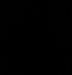 Porte avant droit CITROEN C3 1 Photo n°7