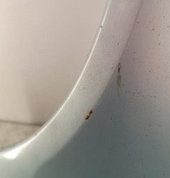 Aile avant gauche CITROEN SAXO