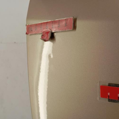 Porte avant gauche RENAULT MODUS