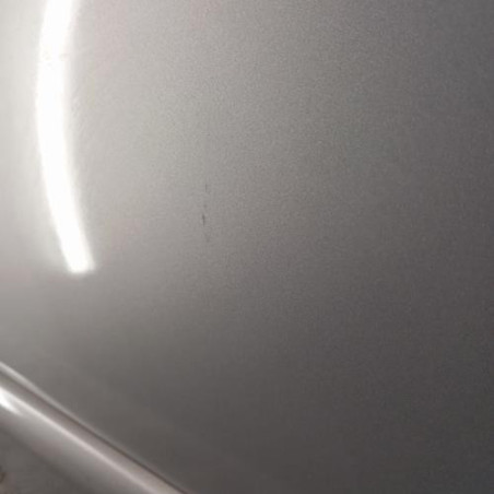 Porte arriere gauche CITROEN C3 1