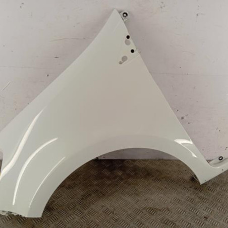 Aile avant gauche RENAULT CLIO 3 Photo n°1