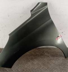 Aile avant gauche PEUGEOT 207 Photo n°1