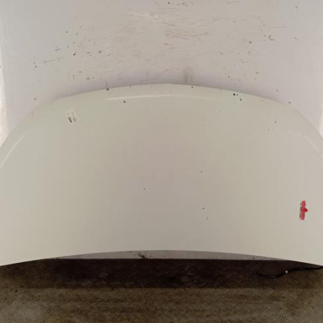 Capot OPEL VIVARO 2 Photo n°1