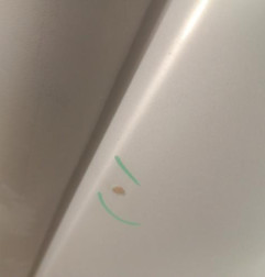 Porte laterale droit PEUGEOT EXPERT 1 Photo n°5