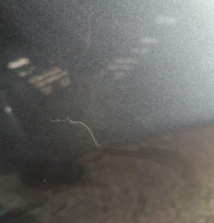 Porte avant droit RENAULT GRAND ESPACE 4 Photo n°6