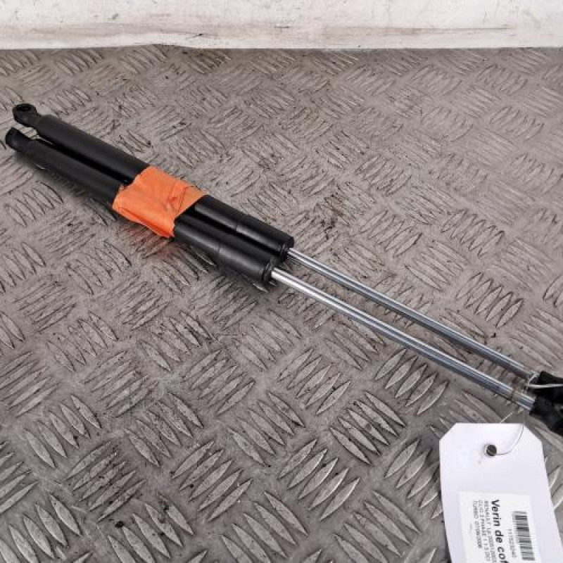 Verin de coffre RENAULT CLIO 3