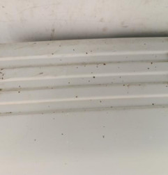 Capot PEUGEOT 106 Photo n°3