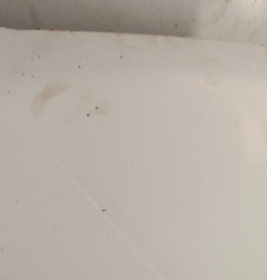 Capot PEUGEOT 106 Photo n°5