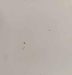 Capot PEUGEOT 106 Photo n°6