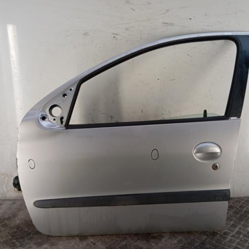Porte avant gauche PEUGEOT 206