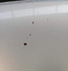 Capot RENAULT MEGANE 1 Photo n°4