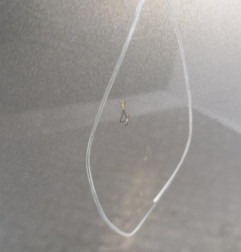 Porte arriere droit SUZUKI SWIFT 3 Photo n°3