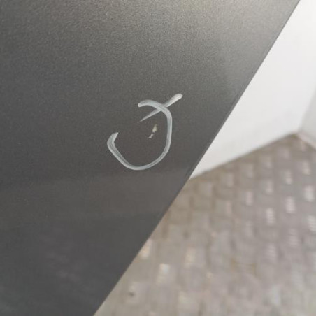 Porte arriere gauche SUZUKI SWIFT 3