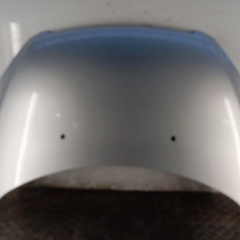 Capot PEUGEOT 307 Capot PEUGEOT 307