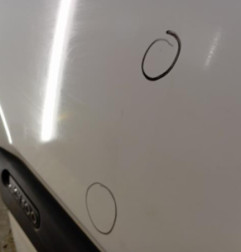 Porte avant gauche RENAULT MASTER 2 Photo n°3