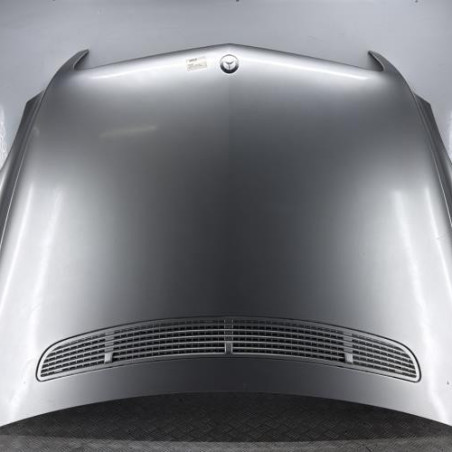 Capot MERCEDES CLASSE R 251 Photo n°1