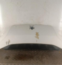 Capot PEUGEOT BOXER 3 Photo n°1