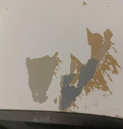 Capot PEUGEOT BOXER 3 Photo n°4