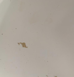 Capot PEUGEOT BOXER 3 Photo n°5