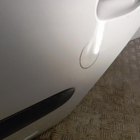 Porte arriere gauche RENAULT CLIO 2