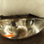 Optique avant principal droit (feux)(phare) PEUGEOT 807