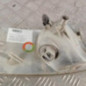 Optique avant secondaire gauche (feux)(clignotant) CITROEN JUMPER 1