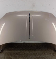 Capot FIAT 500 2 Photo n°1