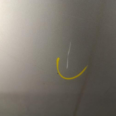 Porte arriere gauche DACIA SANDERO 2