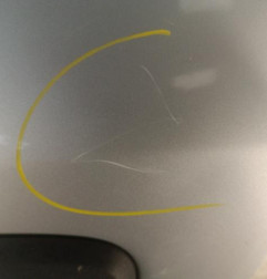 Porte arriere gauche DACIA SANDERO 2 Photo n°8