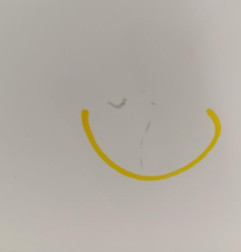 Porte avant gauche RENAULT KANGOO 1 Photo n°4