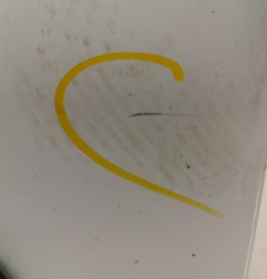 Porte avant gauche RENAULT KANGOO 1 Photo n°5