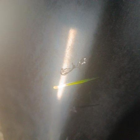 Capot BMW SERIE 3 E91