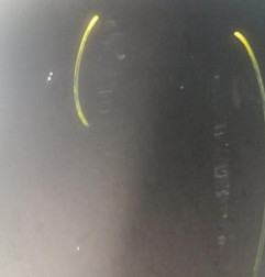 Capot BMW SERIE 3 E91 Photo n°5