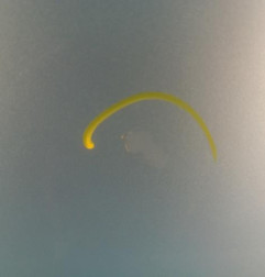 Porte laterale droit CITROEN C8 Photo n°4