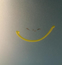 Porte laterale droit CITROEN C8 Photo n°5