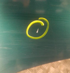 Aile avant droit PEUGEOT 406