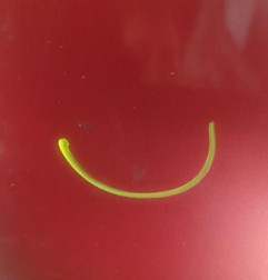 Aile avant droit CITROEN DS3