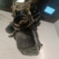 Moteur RENAULT CLIO 2