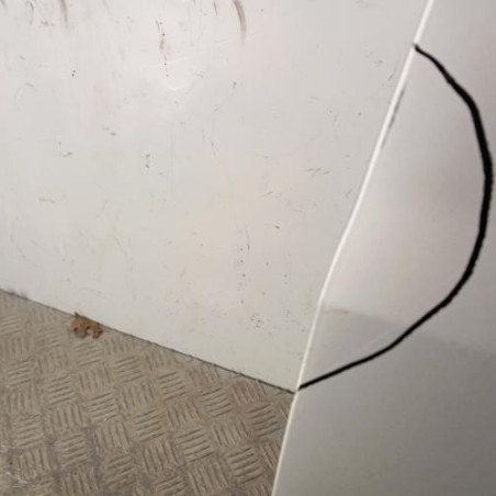 Porte avant gauche RENAULT CLIO 3