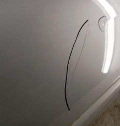 Porte avant gauche RENAULT CLIO 3 Photo n°3