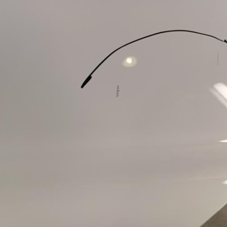 Porte arriere gauche RENAULT ZOE 2