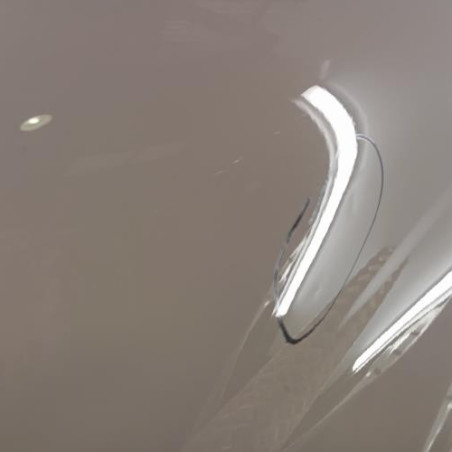 Porte arriere gauche RENAULT CAPTUR 1