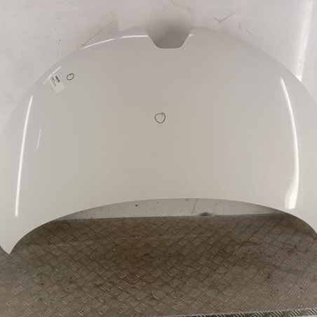 Capot RENAULT ZOE 2 Photo n°1