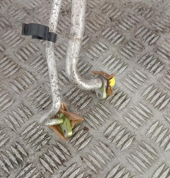 Tuyau de climatisation CITROEN C3 2 Photo n°3