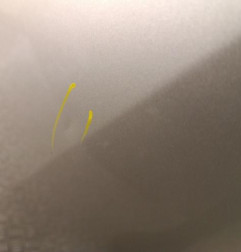 Porte arriere droit RENAULT GRAND SCENIC 3 Photo n°3