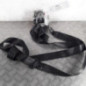 Ceinture avant droit SKODA OCTAVIA 3