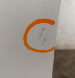 Porte avant gauche PEUGEOT 308 2 Photo n°3