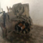 Boite de vitesses FORD FIESTA 4